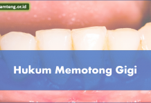 hukum-memotong-gigi